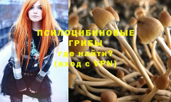 экстази Новодвинск