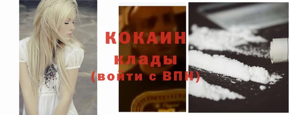 крисы Новокубанск