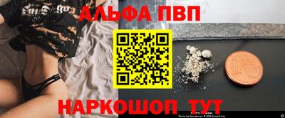 сатива Новозыбков