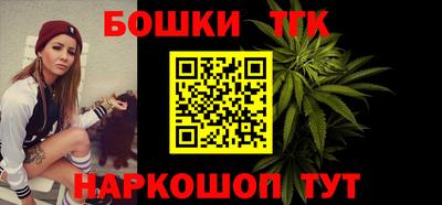 сатива Новозыбков