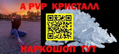 сатива Новозыбков