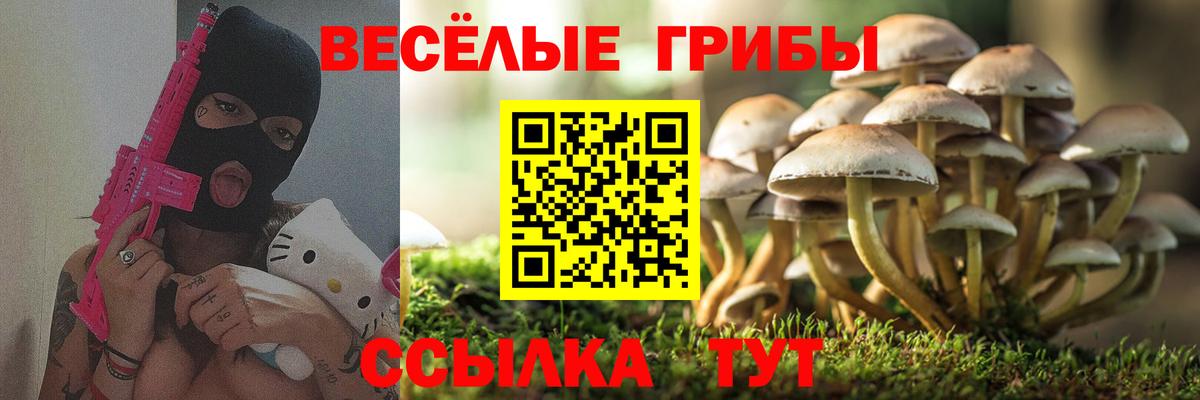 Фрязино  Псилоцибиновые грибы Psilocybine cubensis  Вход с VPN 